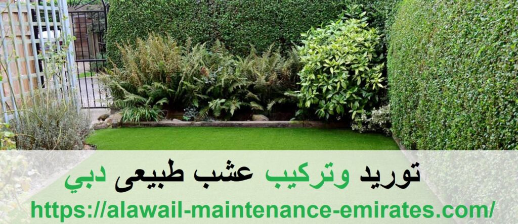 توريد وتركيب عشب طبيعى دبي