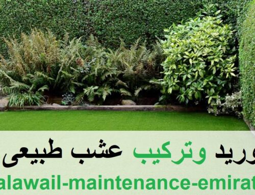 توريد وتركيب عشب طبيعى دبي |0551030094| تنسيق حدائق