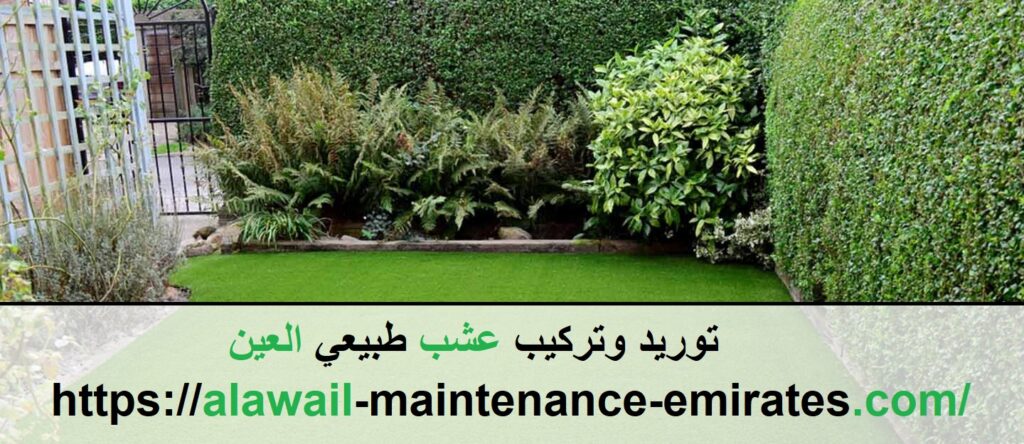 توريد وتركيب عشب طبيعي العين