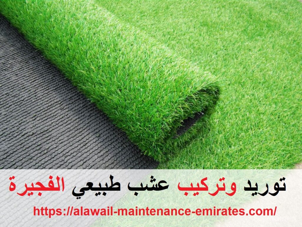 توريد وتركيب عشب طبيعي الفجيرة